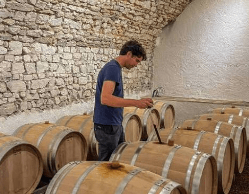 Domaine Delaporte